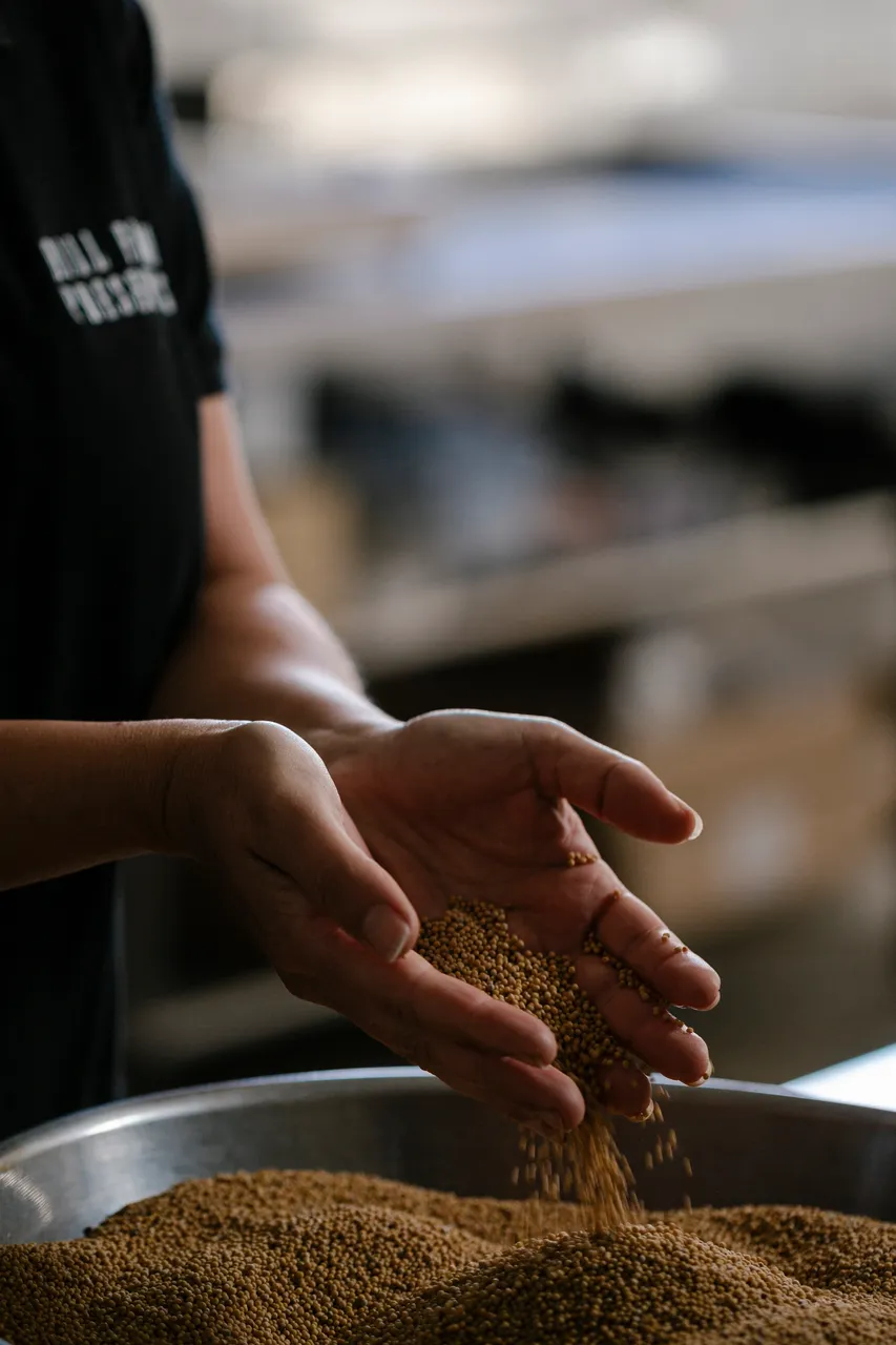 Mustard Seeds
