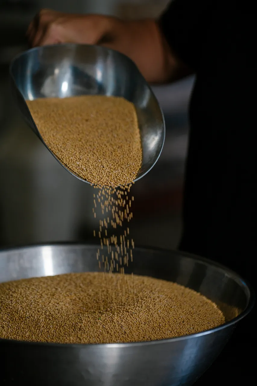 Mustard Seeds