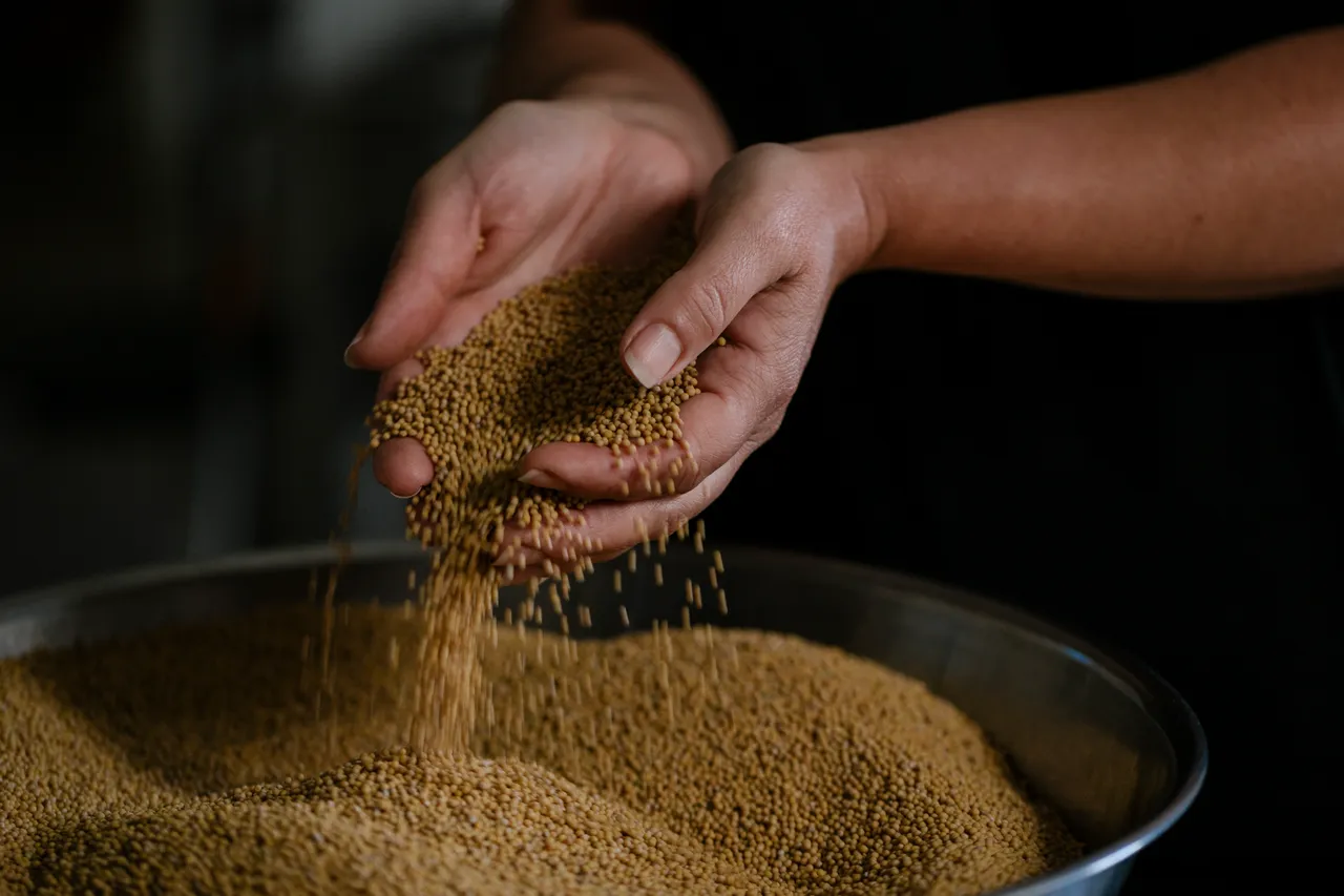 Mustard Seeds