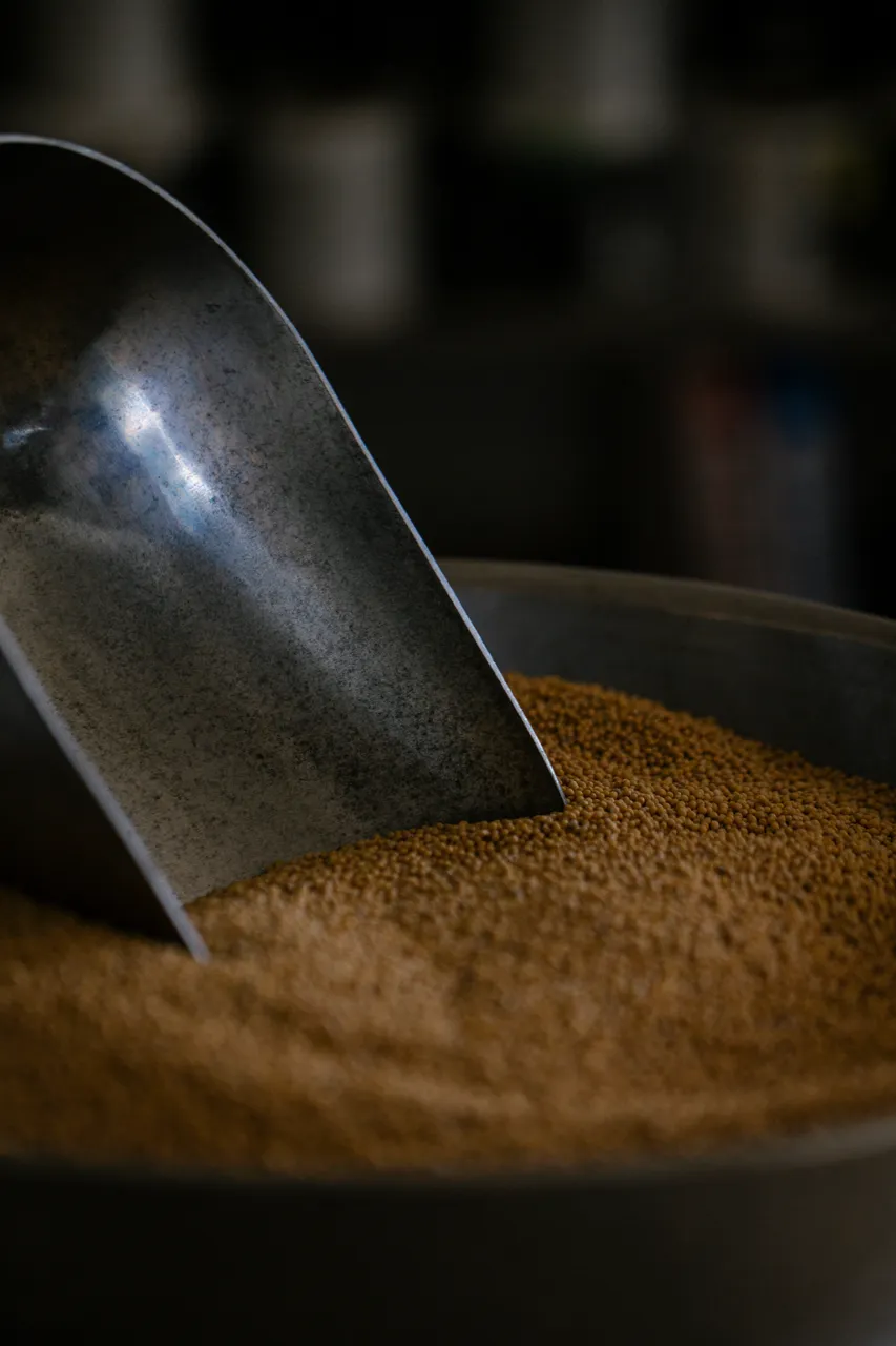 Mustard Seeds