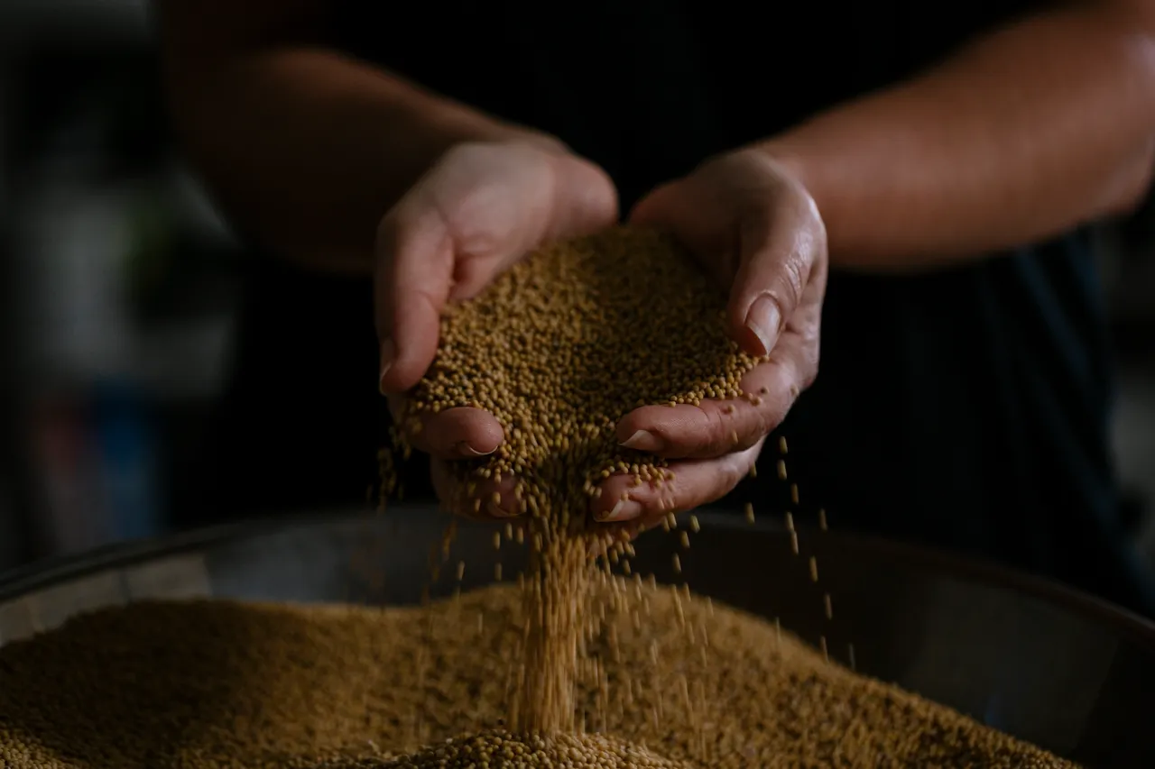Mustard Seeds