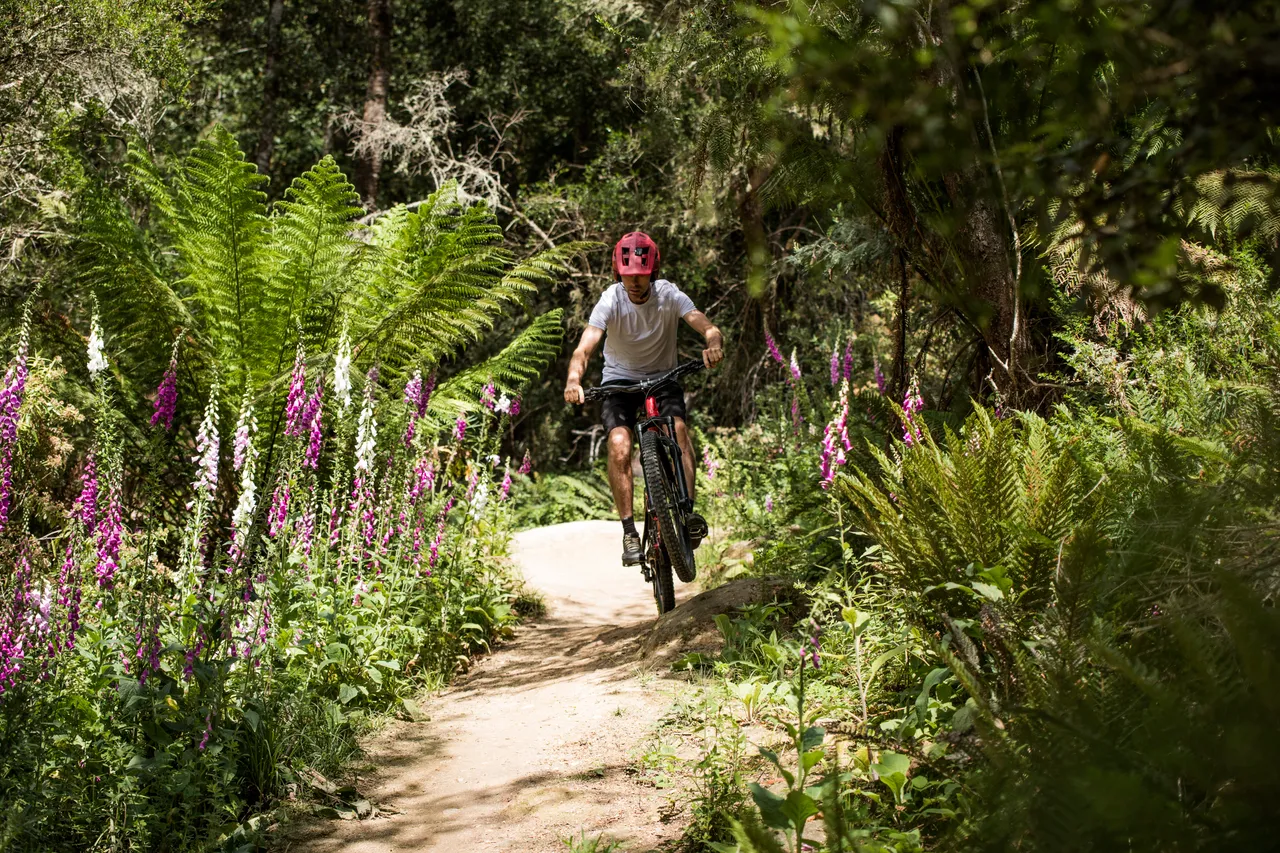 Blue Derby Mountain Bike Trails