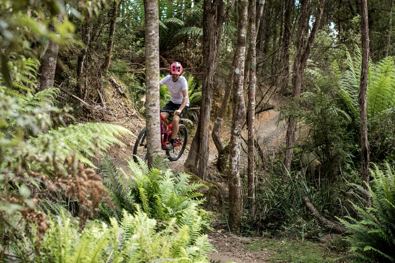 Blue Derby Mountain Bike Trails