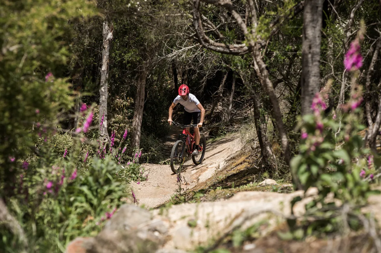 Blue Derby Mountain Bike Trails