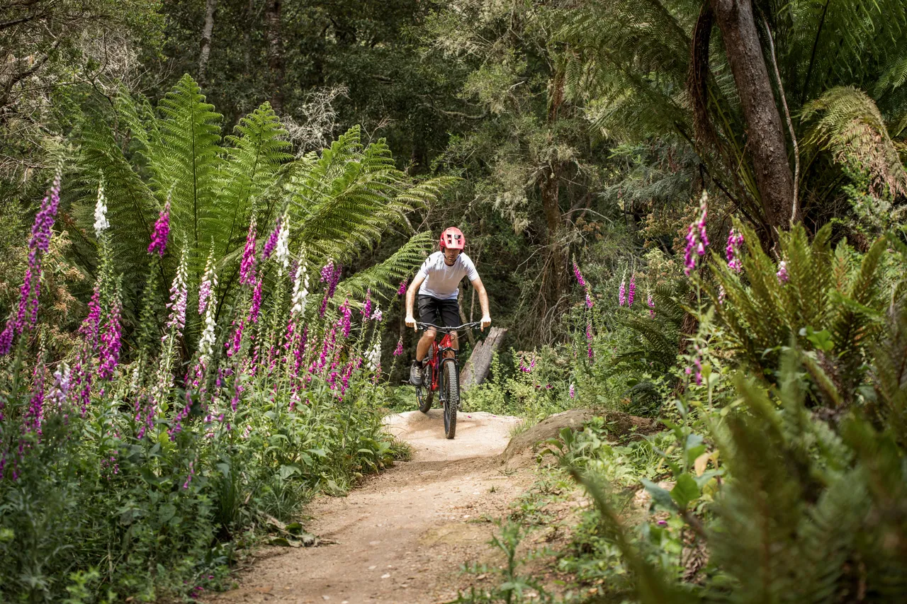 Blue Derby Mountain Bike Trails