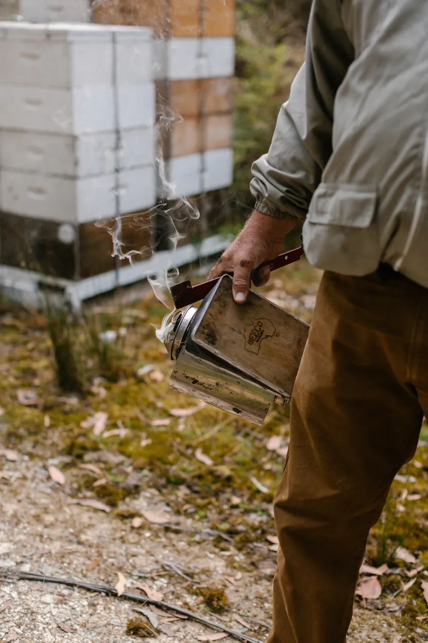 Beekeeping