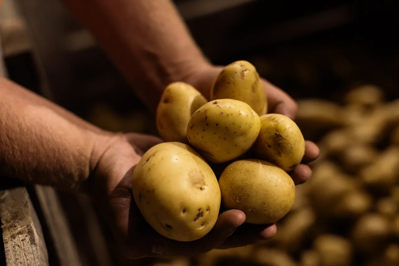 Potatoes