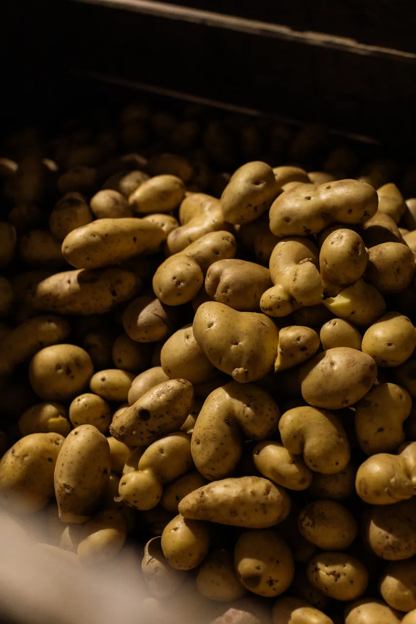 Potatoes