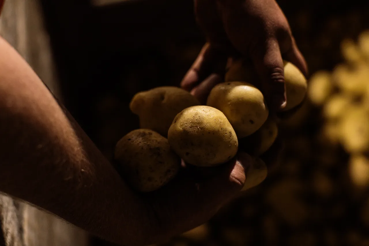 Potatoes