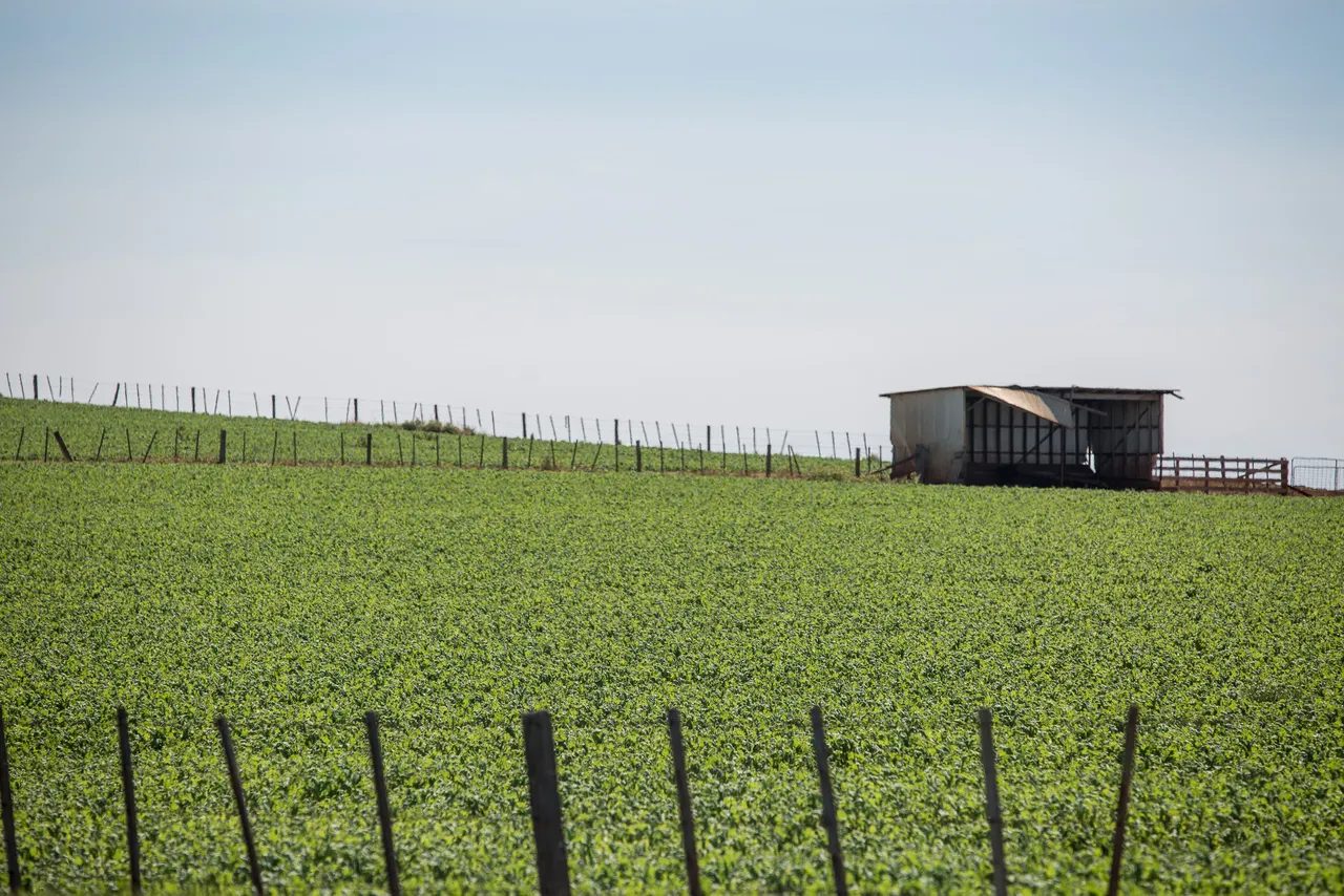 North West Agriculture