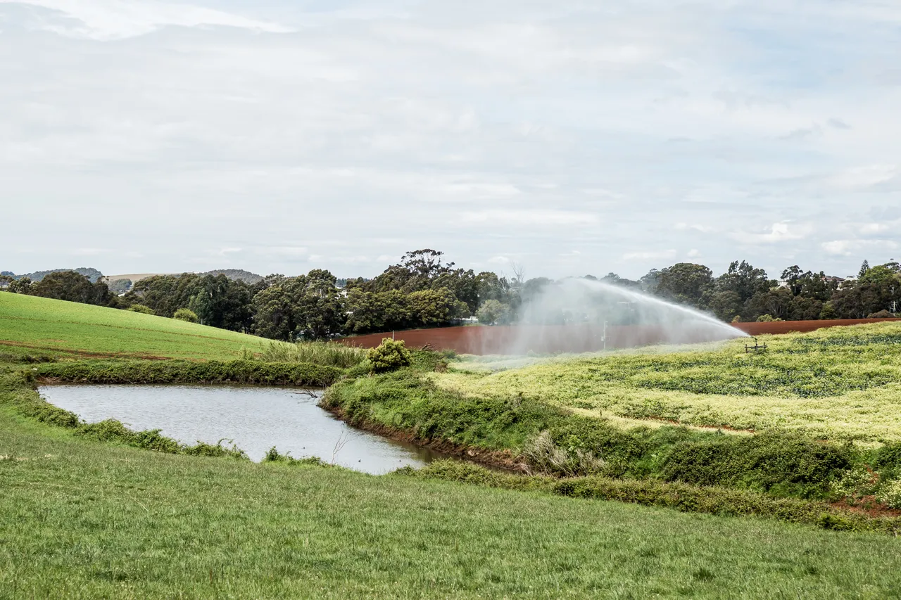 North West Agriculture