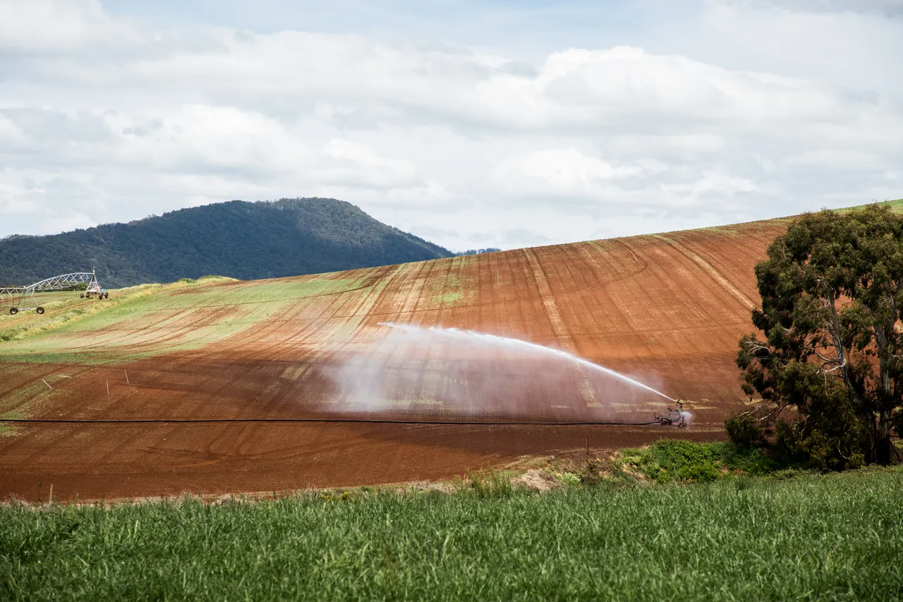North West Agriculture
