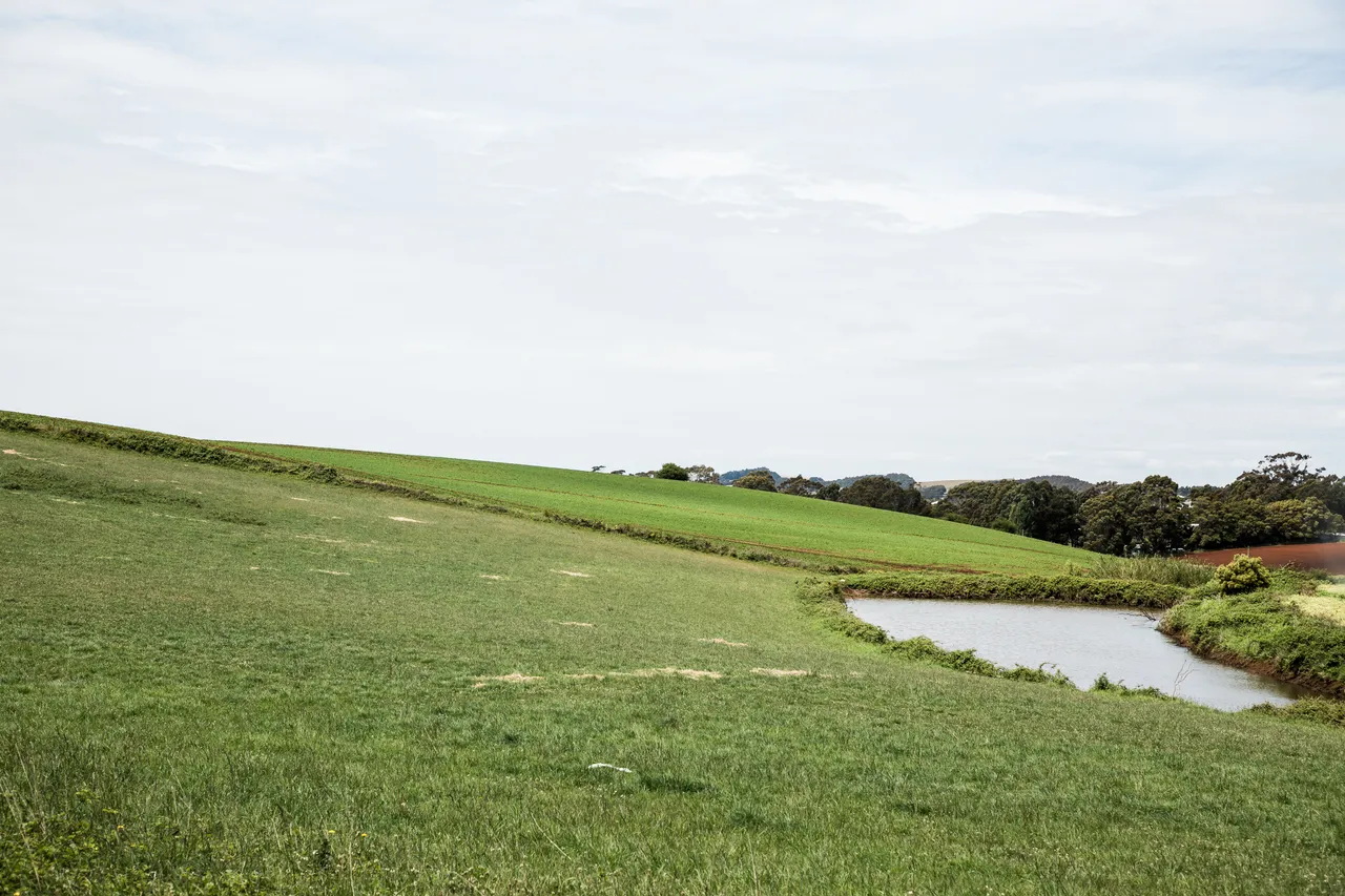 North West Agriculture