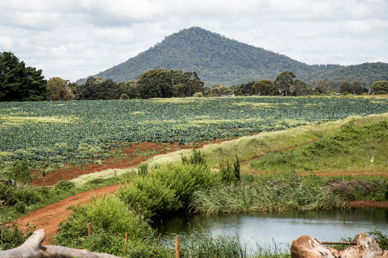 North West Agriculture