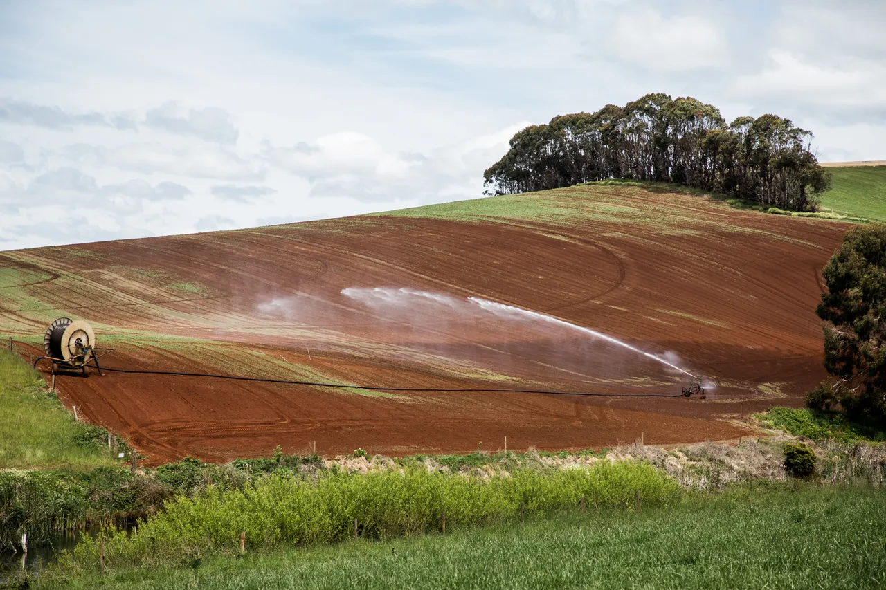 North West Agriculture