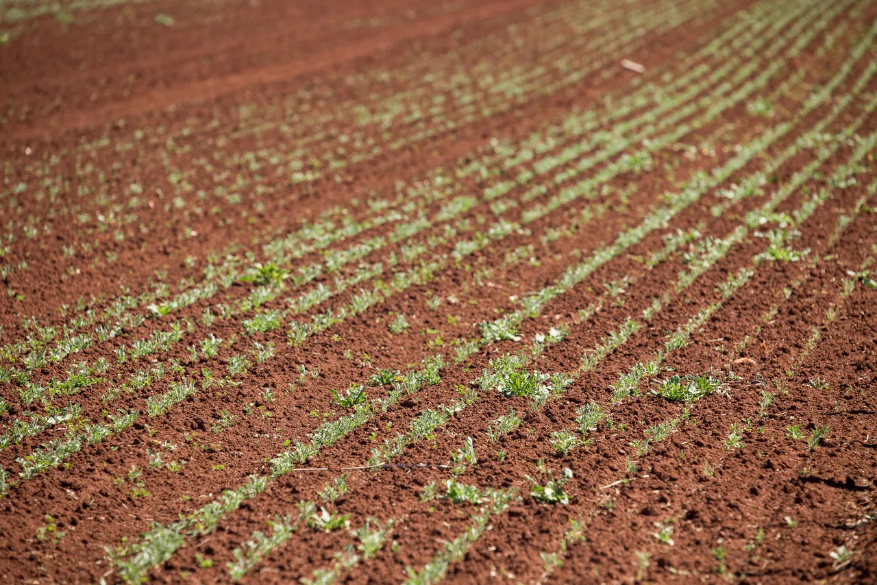 North West Agriculture