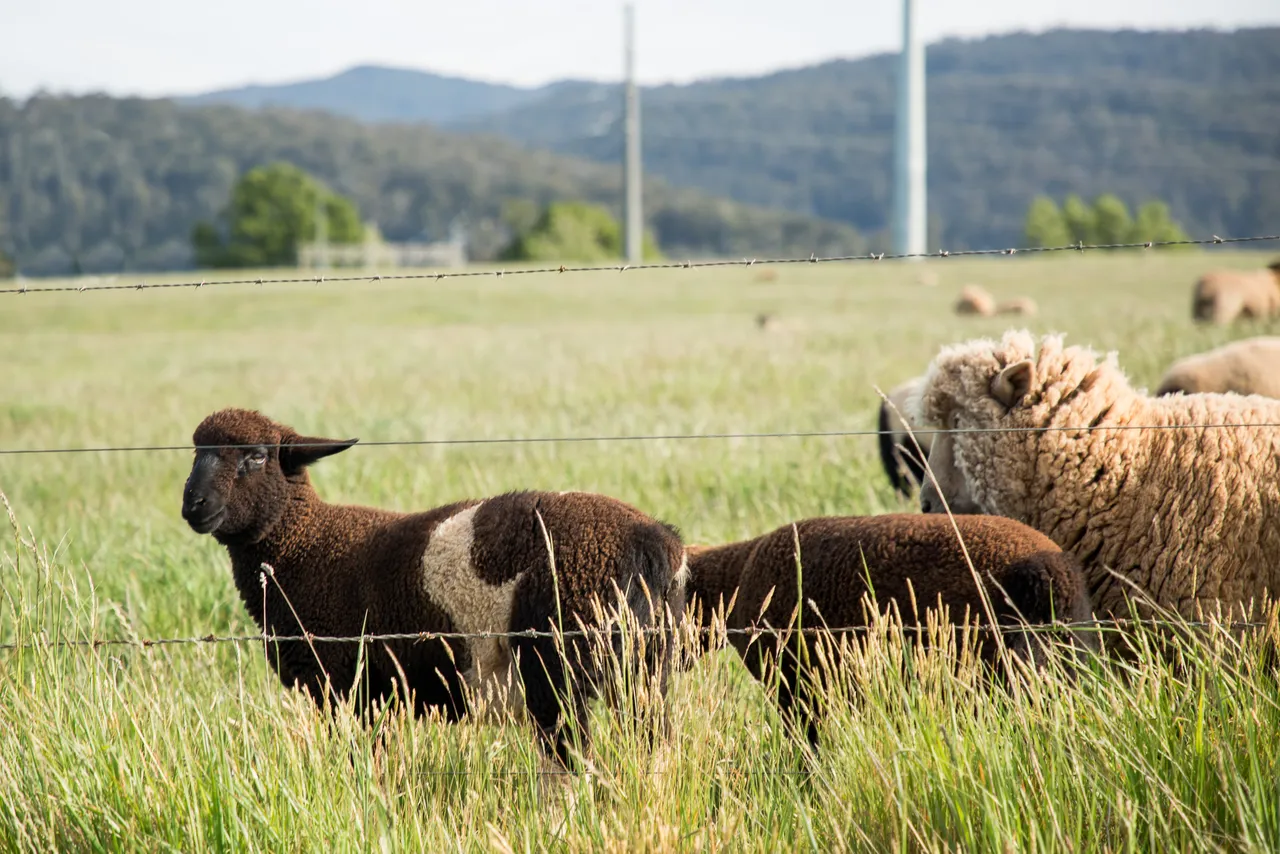 North West Agriculture