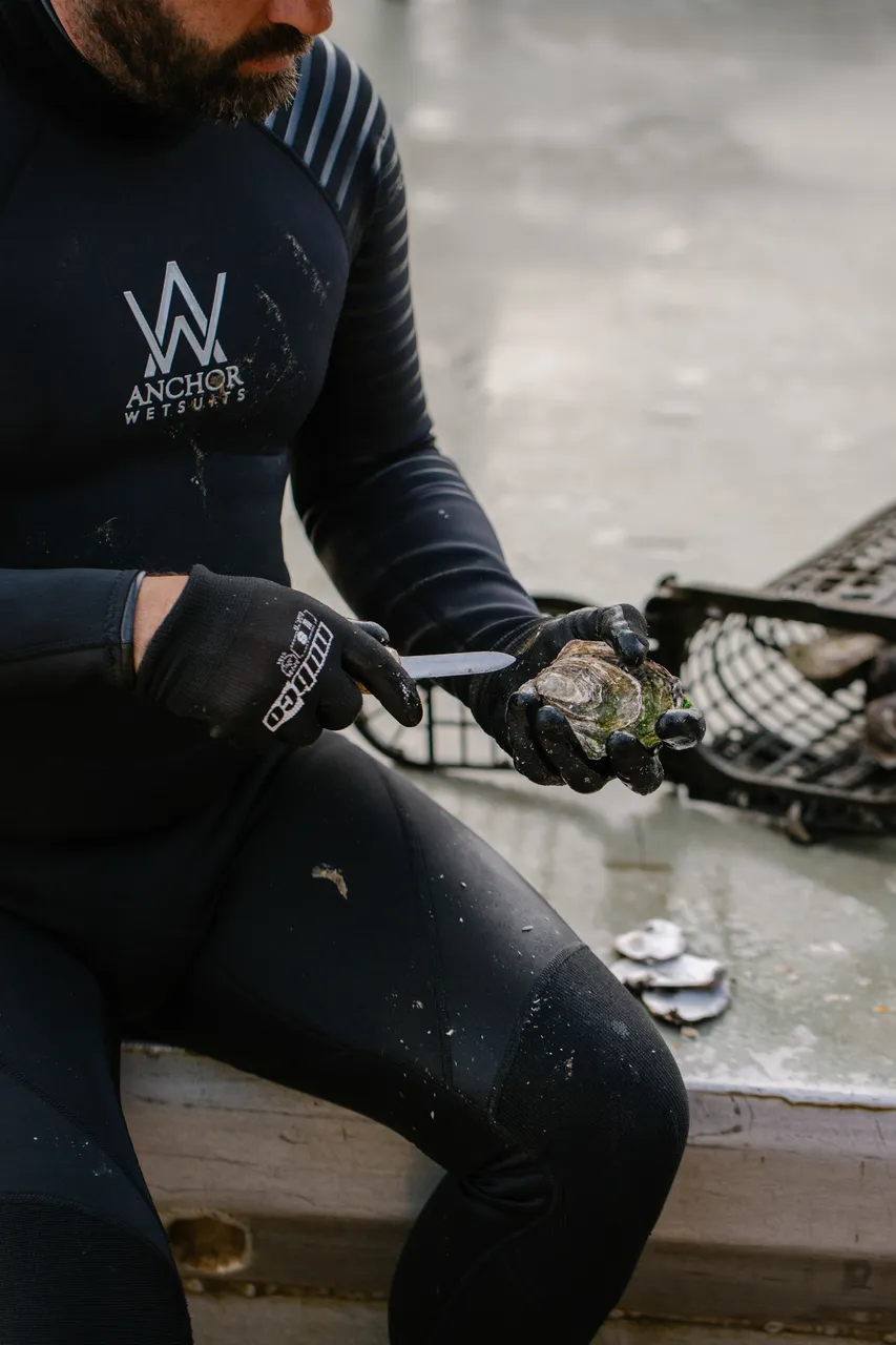Oyster Shucking