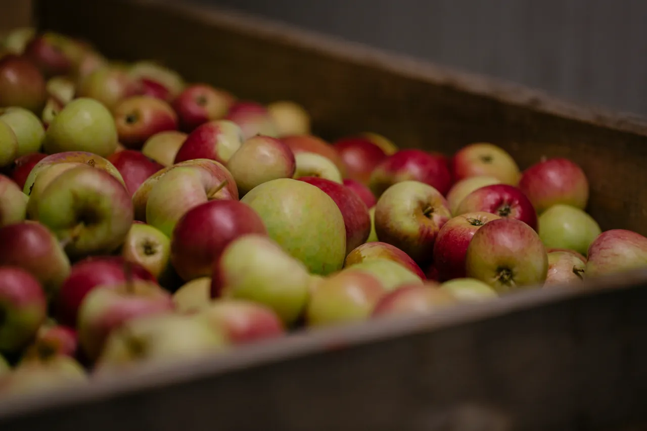 Cider Apples
