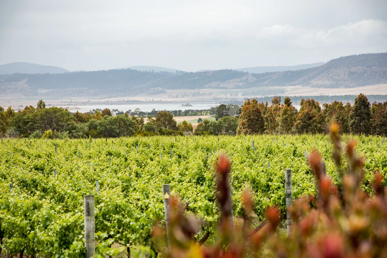 Frogmore Creek Winery