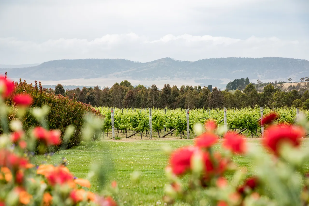 Frogmore Creek Winery