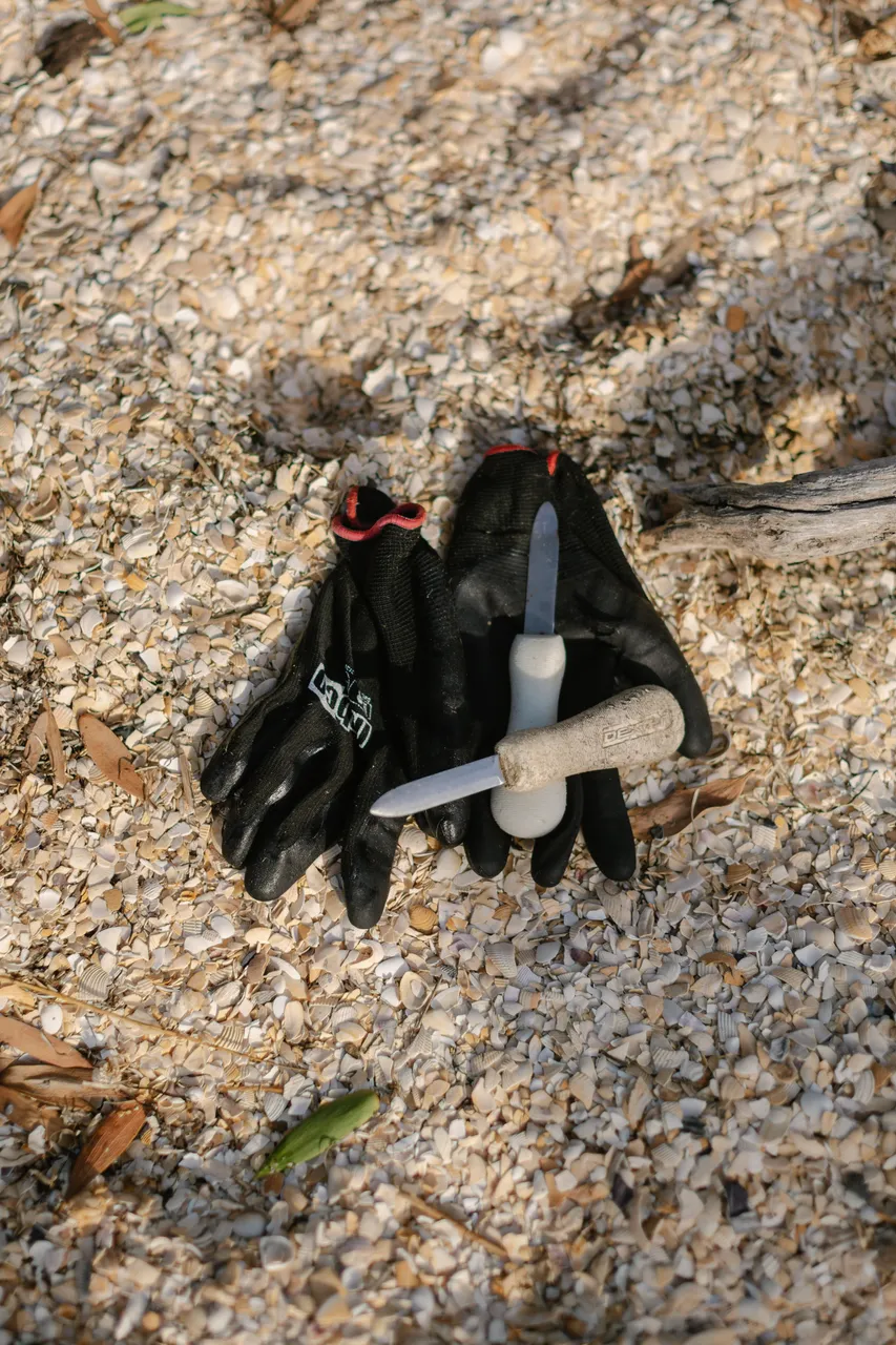 Gloves & Oyster Knife