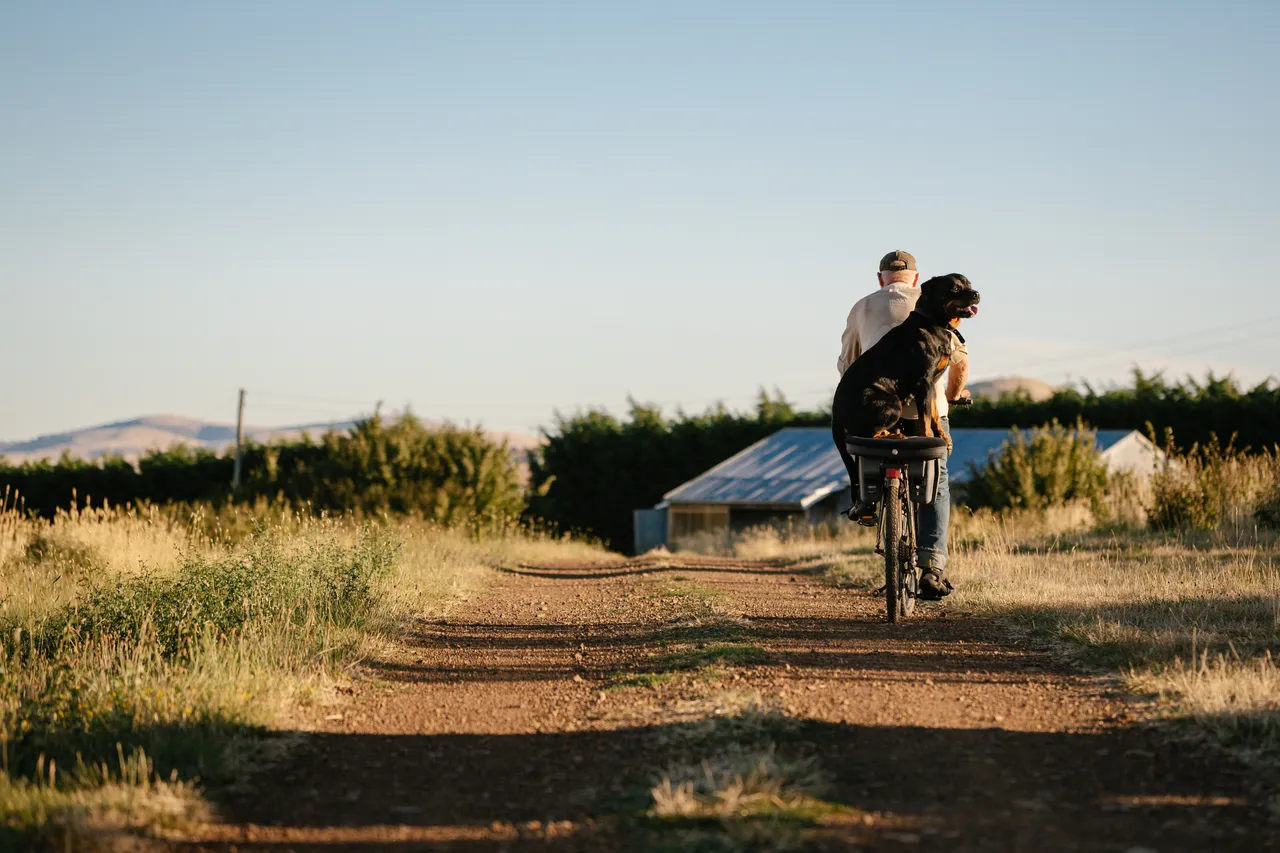 Man & Dog on Bicycle