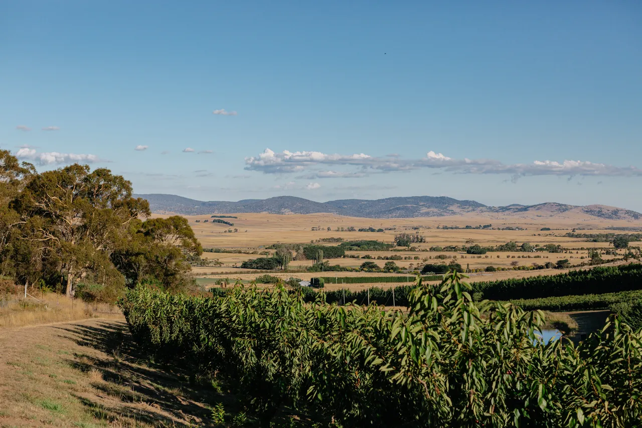 Cherry Farm