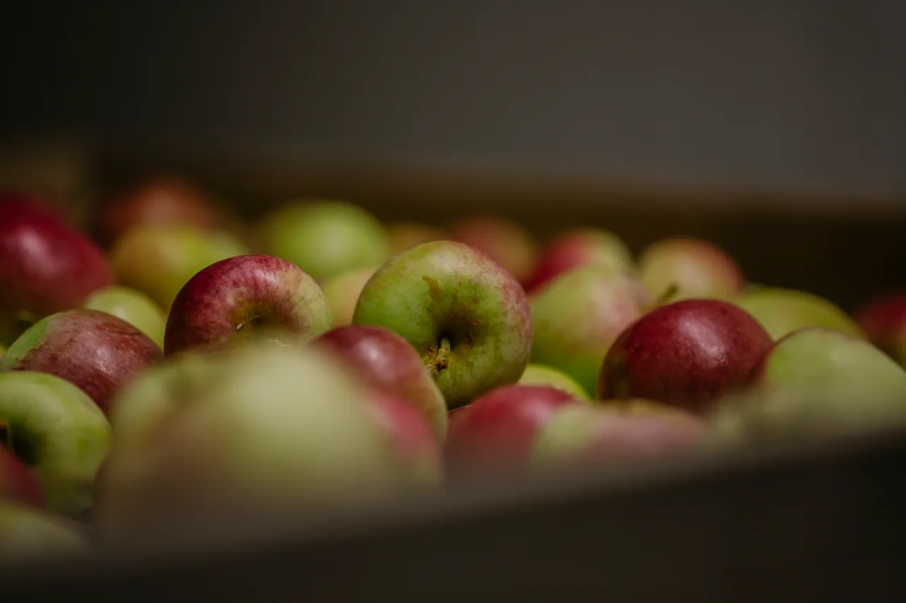 Cider Apples