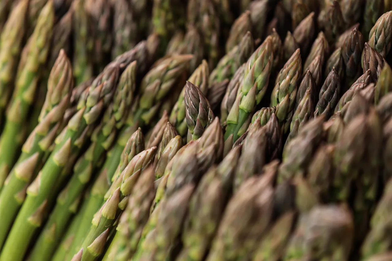 Asparagus