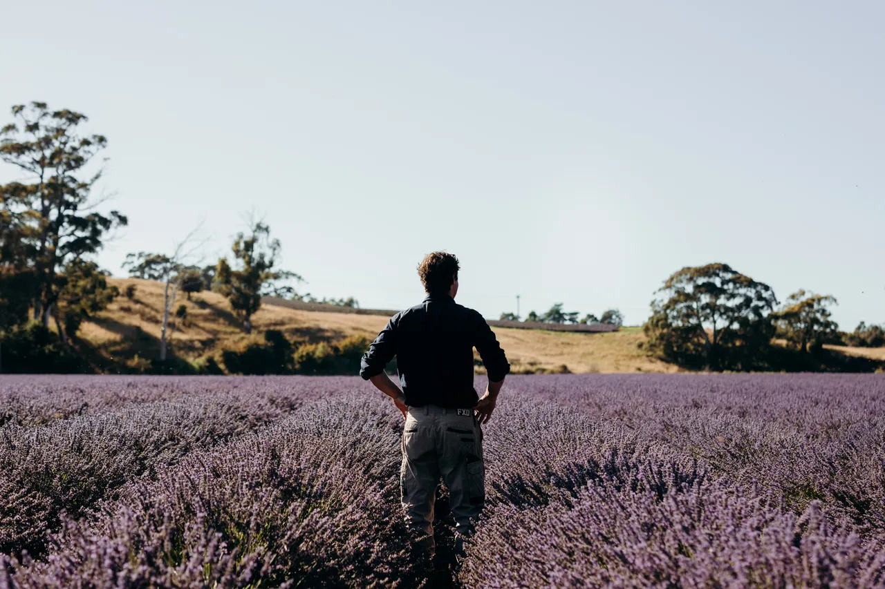 Lavender Farmer