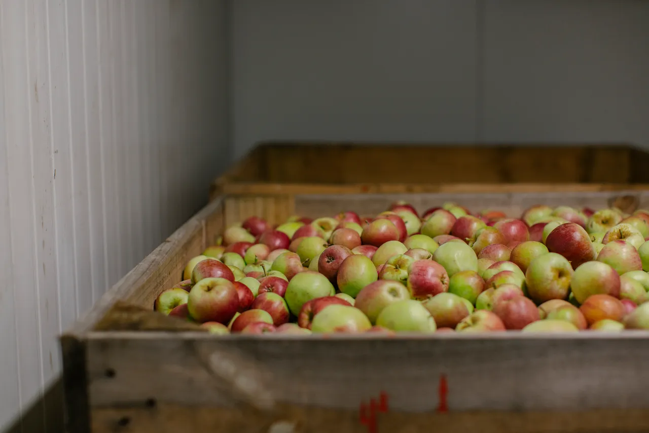 Cider Apples