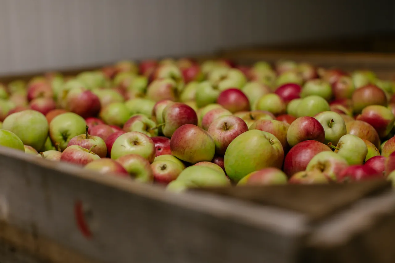 Cider Apples
