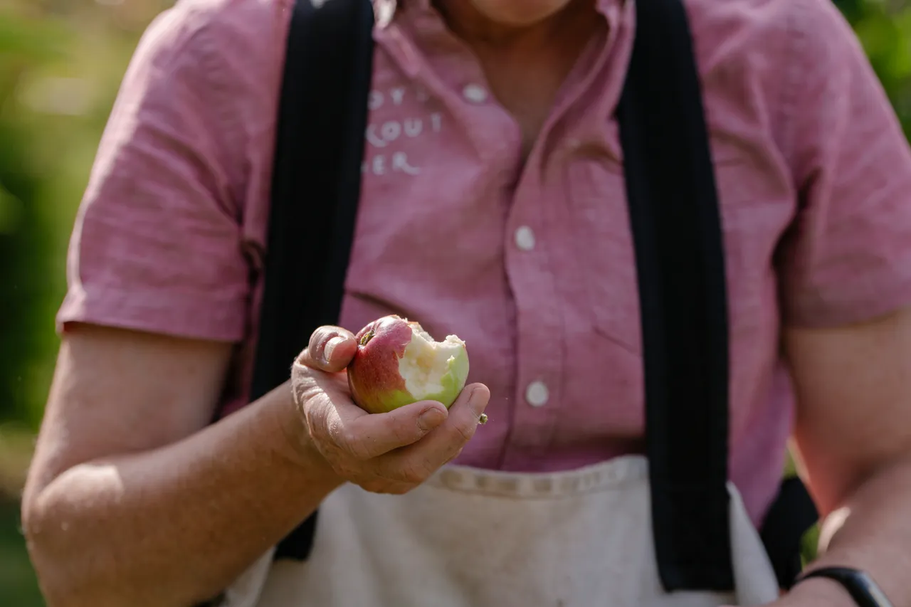 Cider Apple Picking