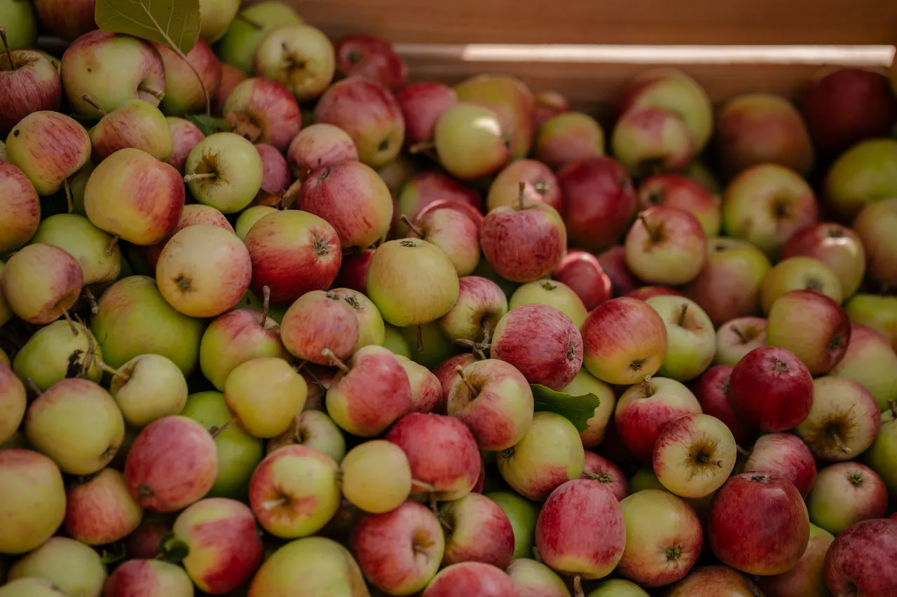 Cider Apples