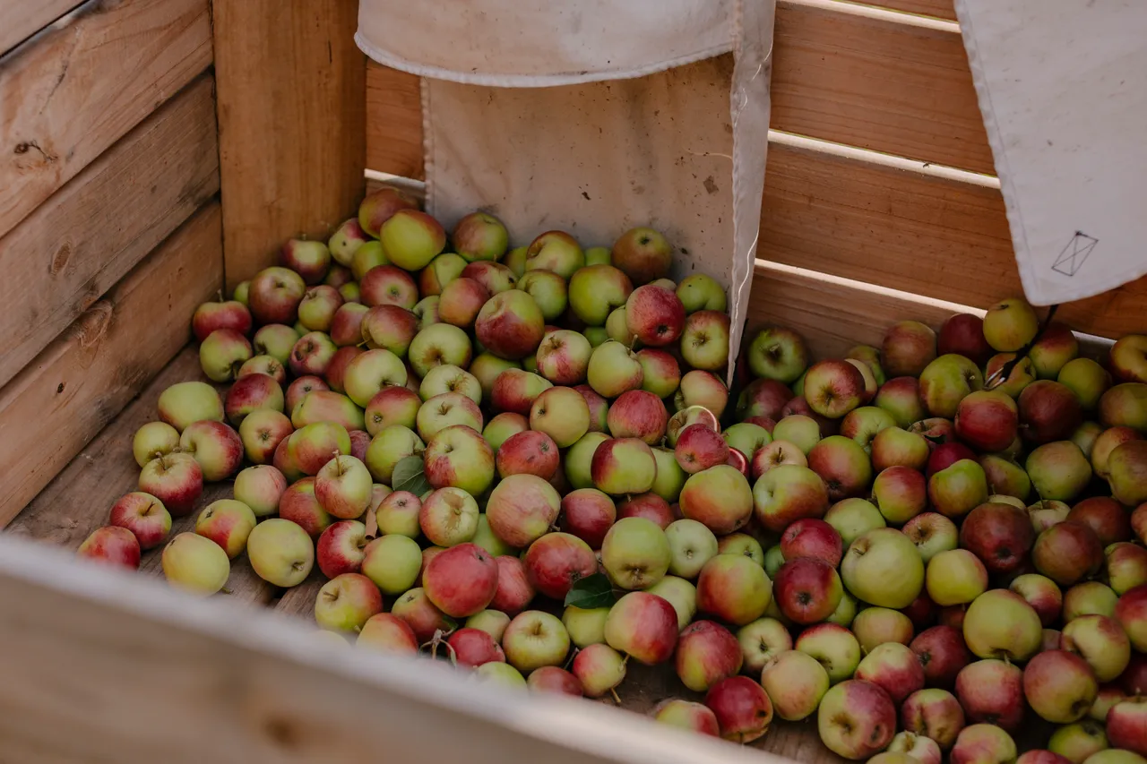 Cider Apples