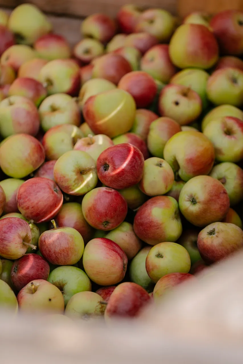 Cider Apples