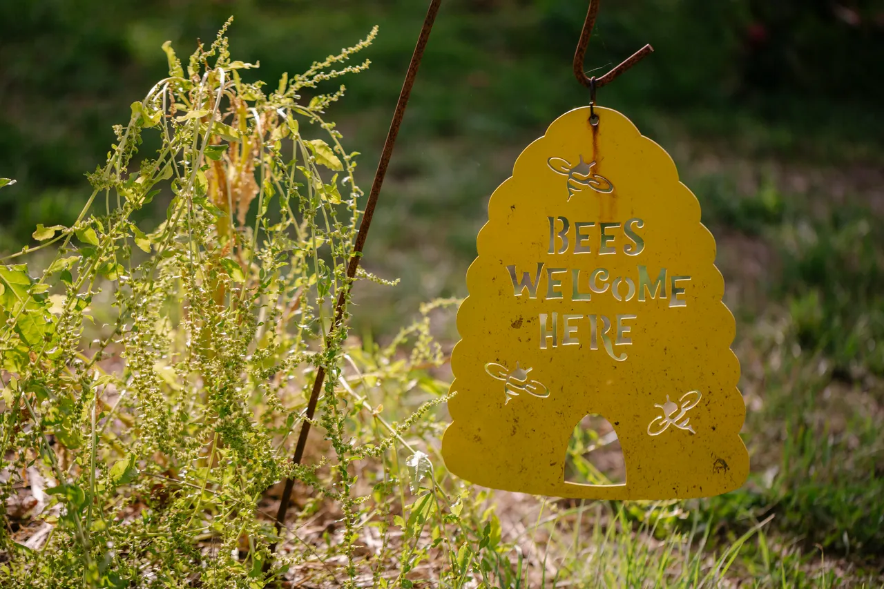 Bees Welcome Here Sign