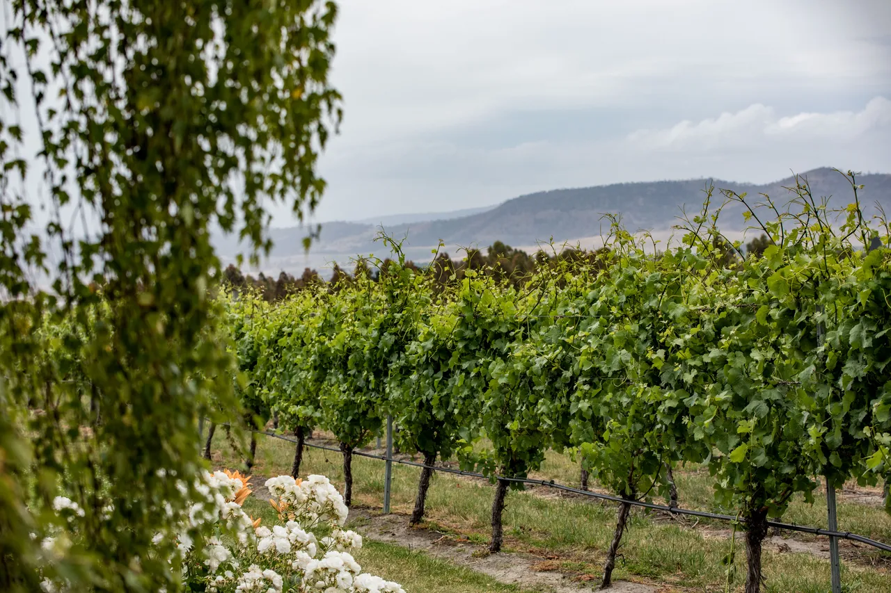 Frogmore Creek Winery