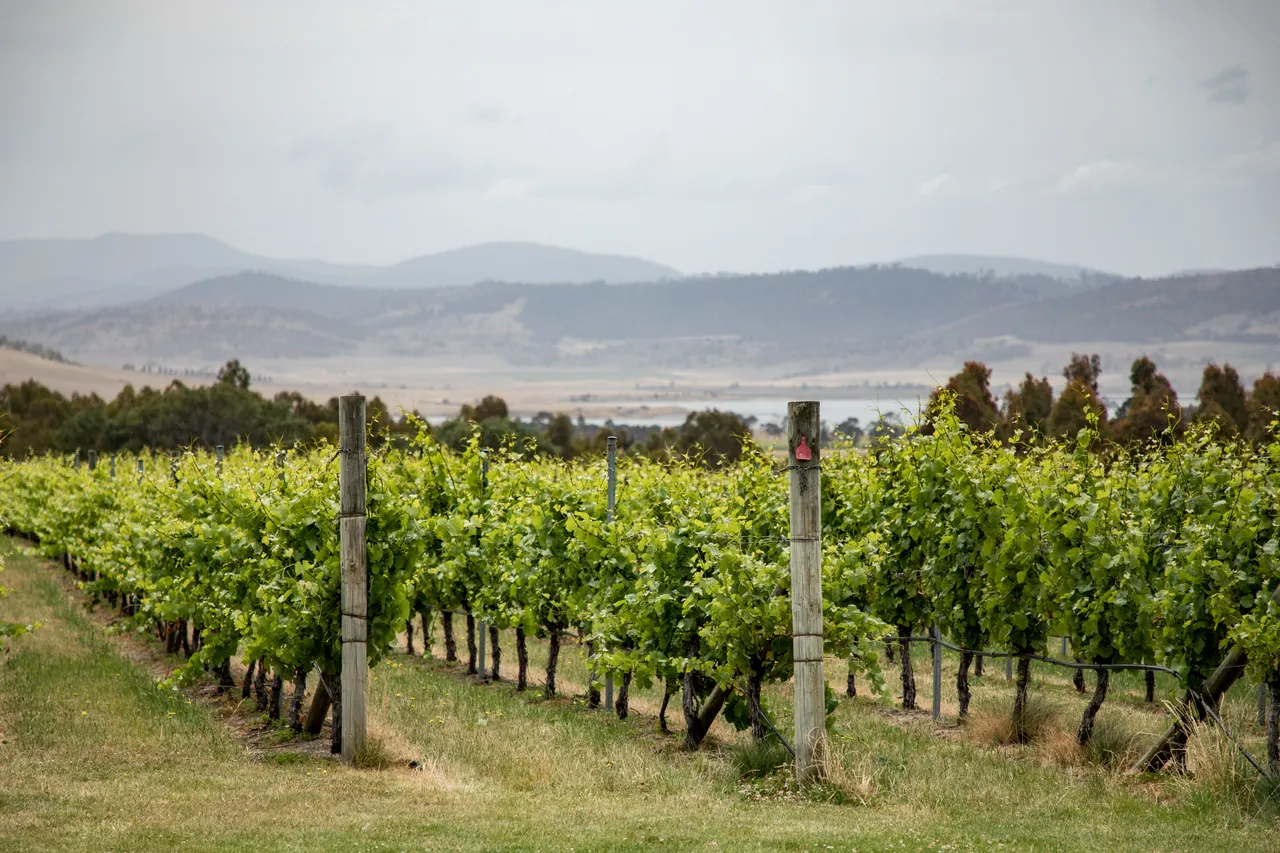 Frogmore Creek Winery