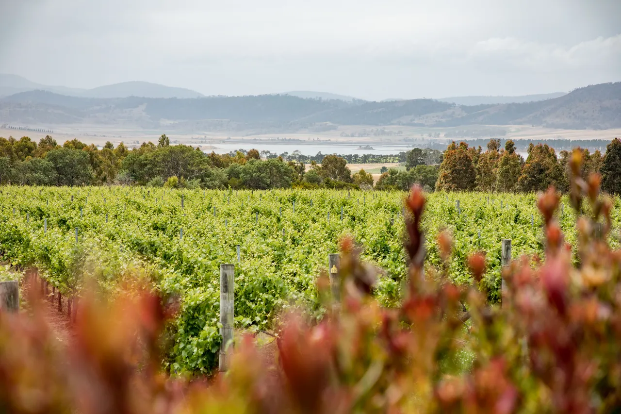 Frogmore Creek Winery