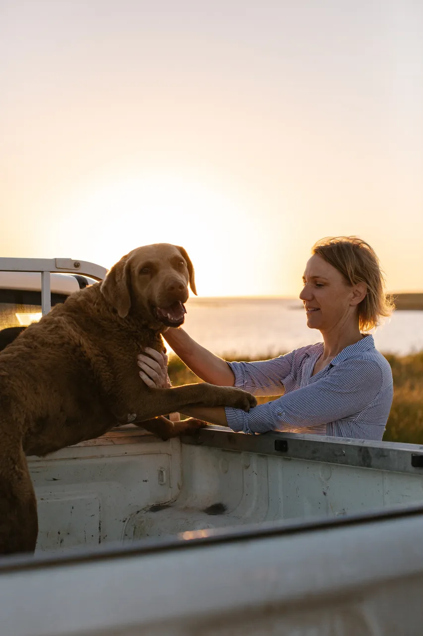 Tasman Sea Salt Dog