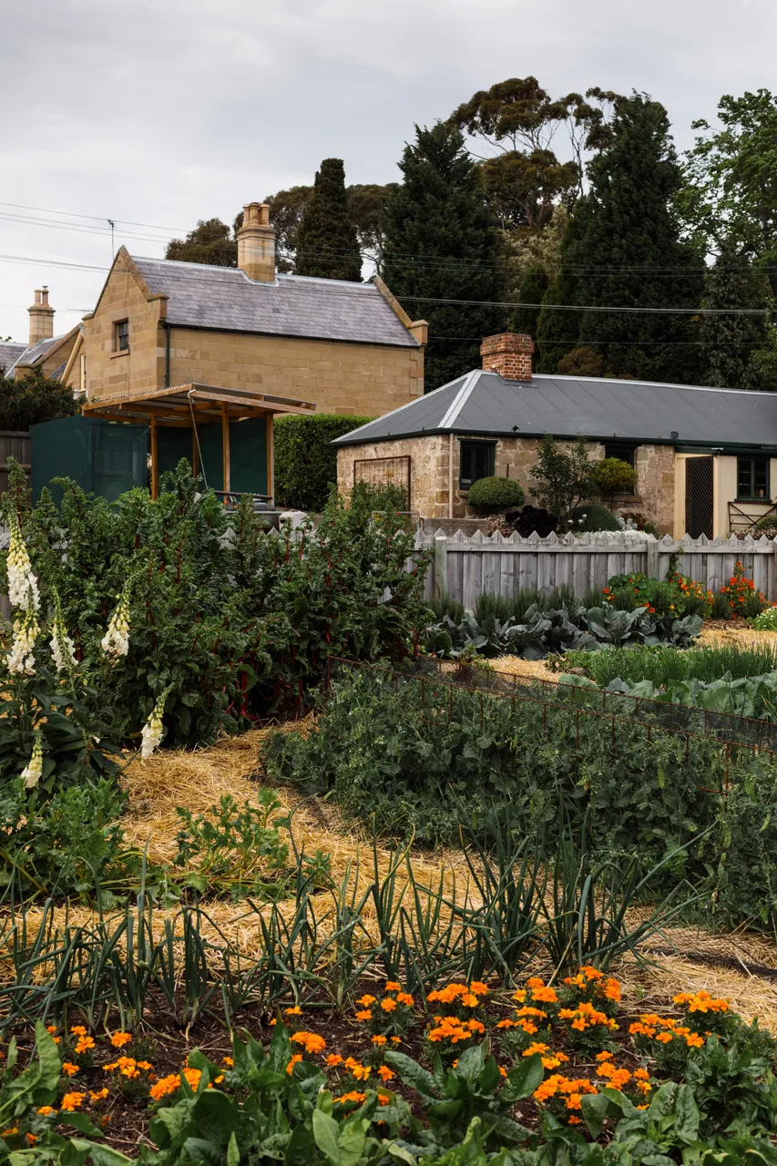 Government House Garden