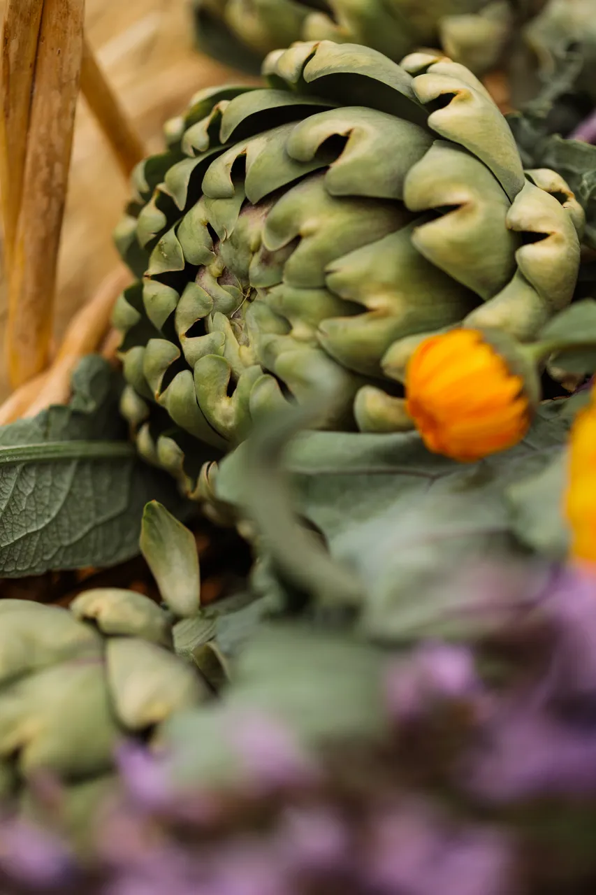 Vegetables
