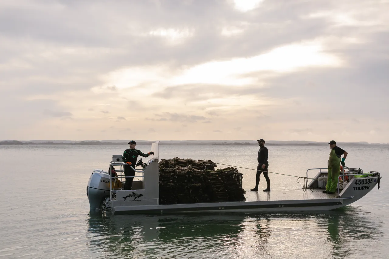 Oyster Punt