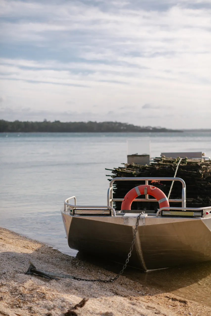 Oyster Punt