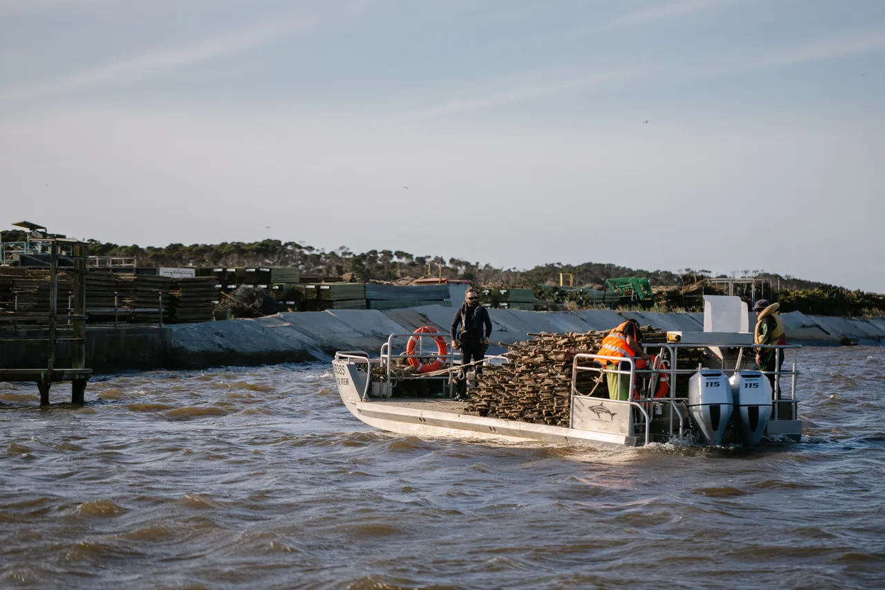 Oyster Punt