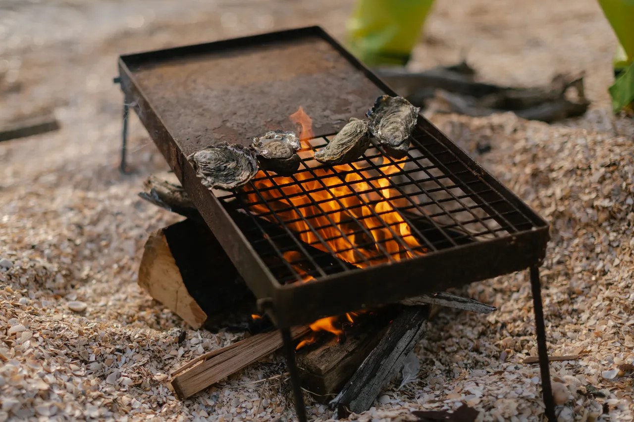 Cooking Oysters on a Campfire