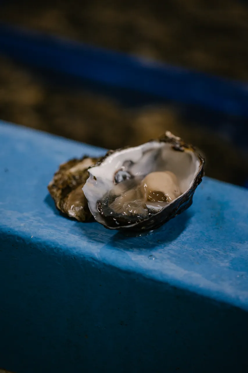 Oyster