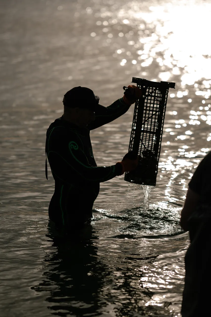 Oyster Divers